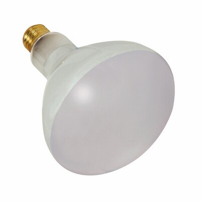 Satco 500 Watt BR40 Incandescent; Frost; 2000 Average rated hours; 5500 Lumens; Medium base; 130 Volt