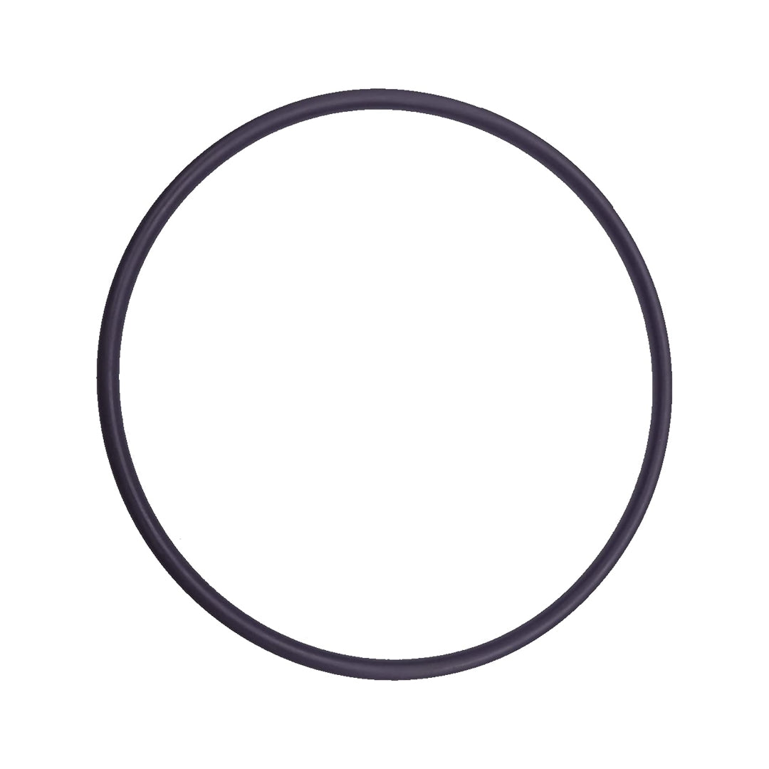 Hayward Strainer Cover O-Ring