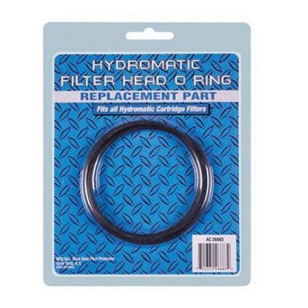 Hydromatic Filter Lid O-Ring Replacement – Pool Nation USA