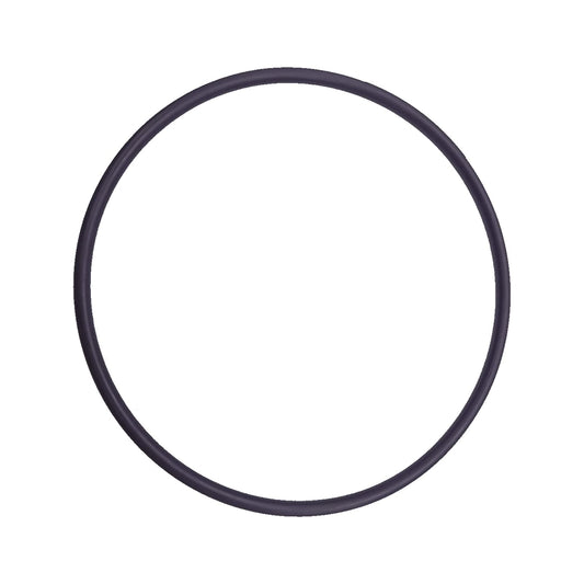 Hayward Strainer Cover O-Ring