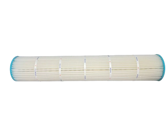 Pentair 178655, Quad DE 100