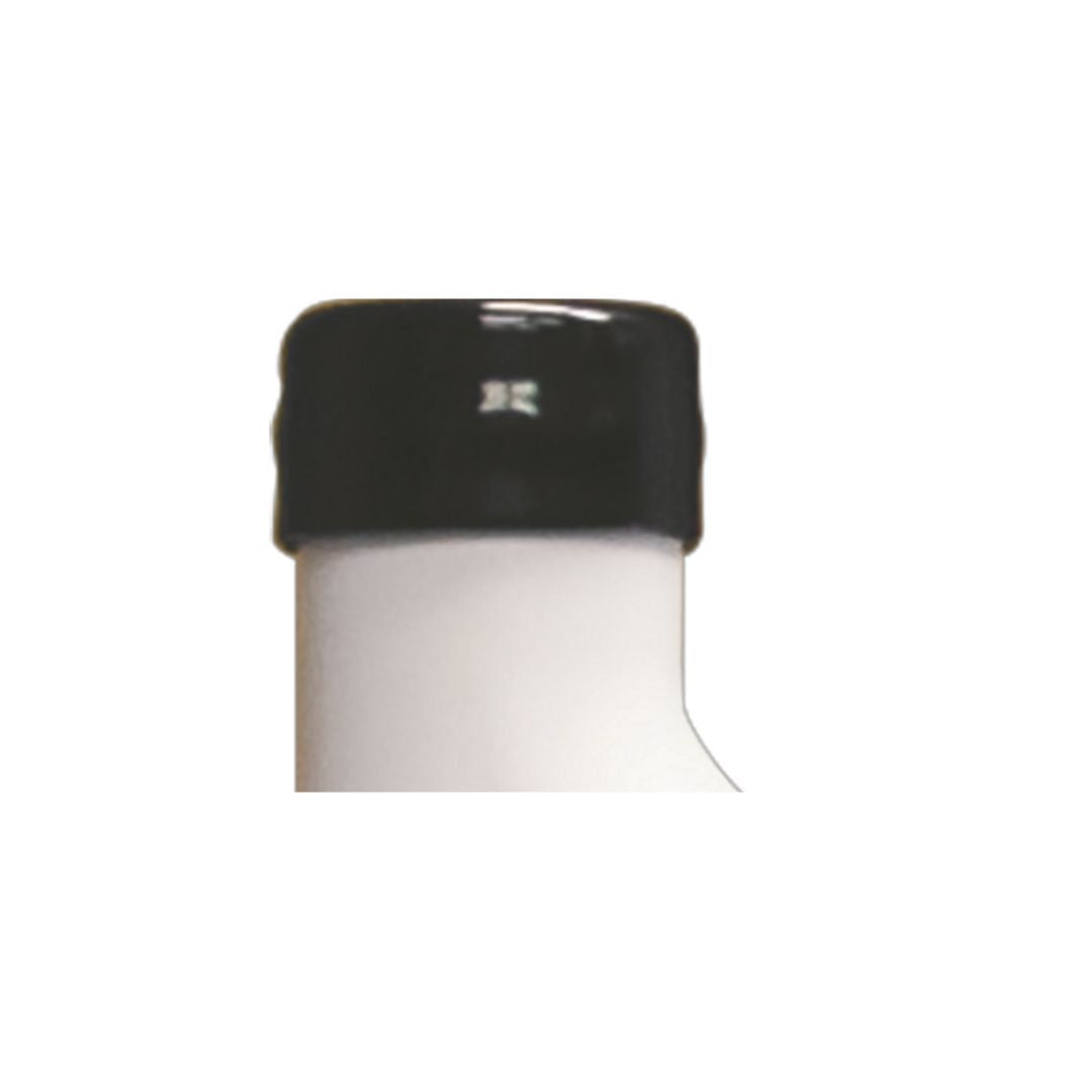 Replacement Step Weight Cap (2) – Pool Nation USA